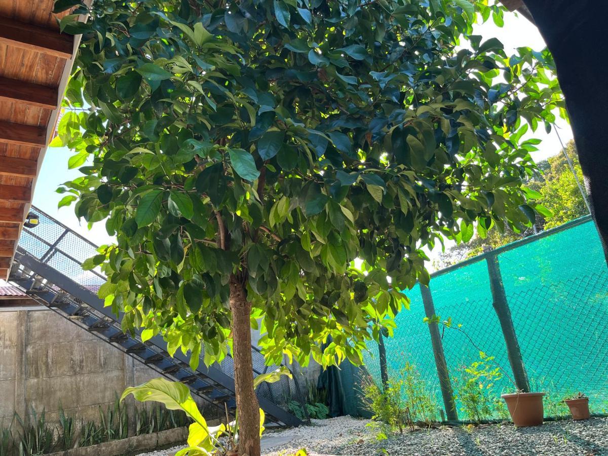 Lagunilla  Apartamento Mango Y Cafe מראה חיצוני תמונה